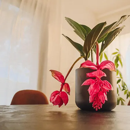 Вилла Casa Jacaranda - Ocean View Modern