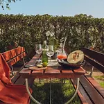 Casa Jacaranda - Ocean View Modern Villa *