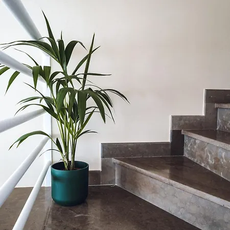 Villa Casa Jacaranda - Ocean View Modern Albufeira