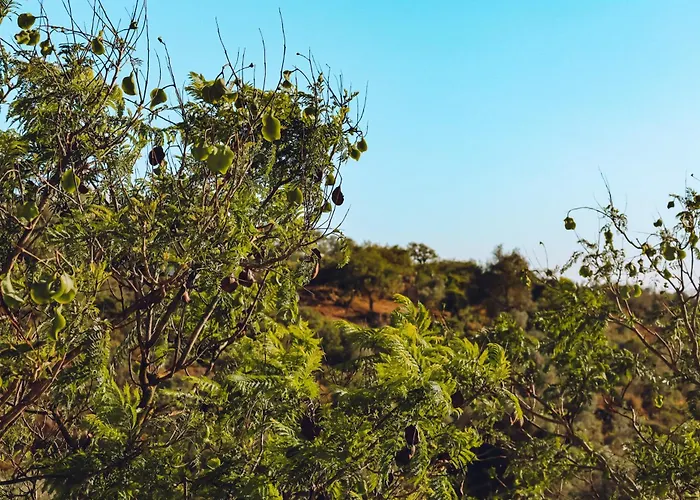 Casa Jacaranda - Ocean View Modern Albufeira