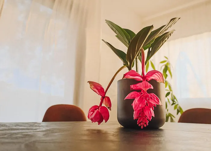 빌라 Casa Jacaranda - Ocean View Modern